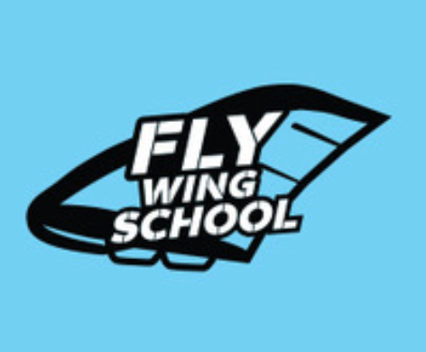 Fly Wing School